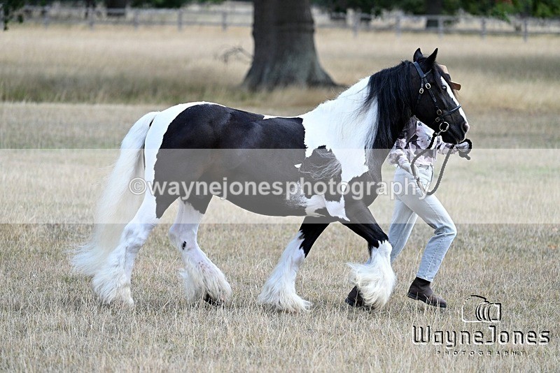 WJ7_8947 - Kellie and Nancy at Swallowfield 31-08-26