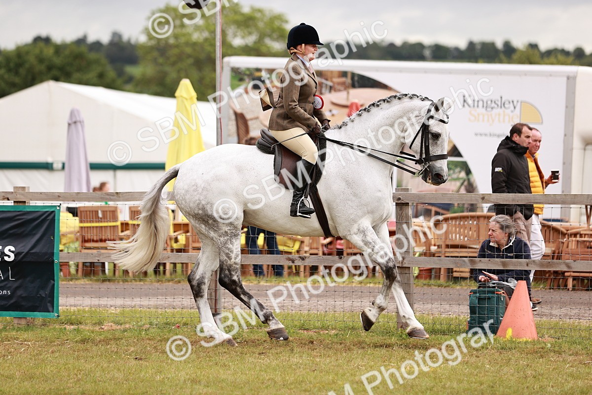 SBM_10894 - Class 81-84 - RIHS Ridden hunters Inc Ladies Hunter
