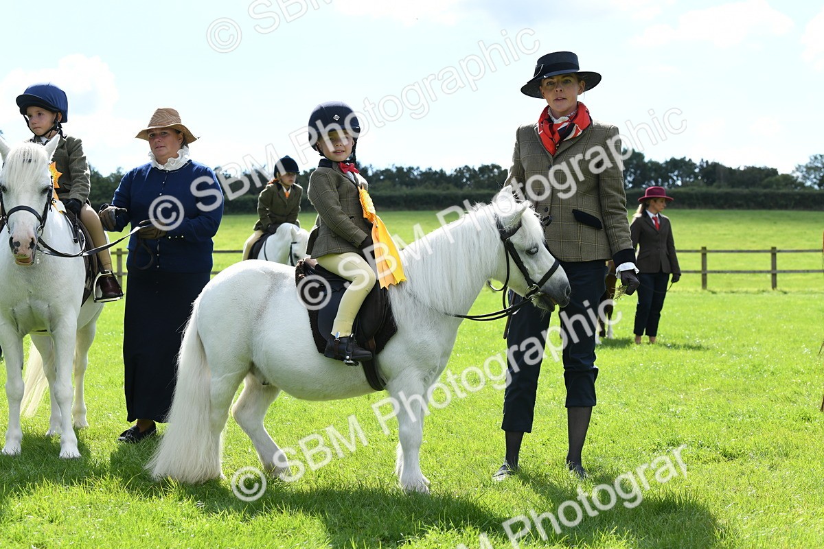 SBM_42667 - S20 - Lead Rein Mountain & Moorland Pony