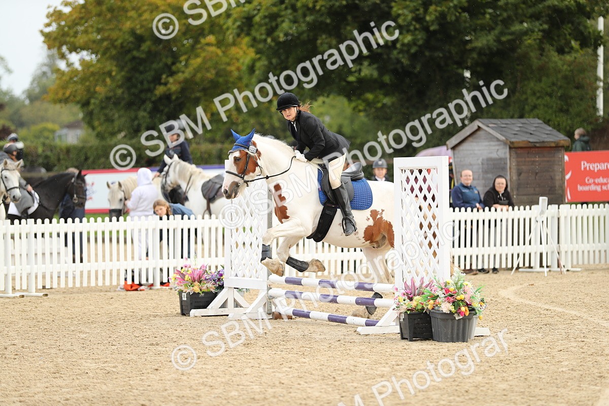 SBM_02017 - J34 - Veteran Rider 50cm