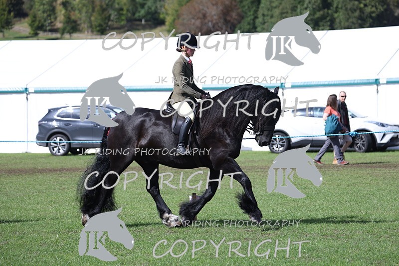 APP_3499 - Class 12 M&M ridden