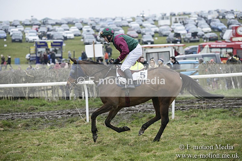 PtP 020418 -10 - Old Berks Point-to-Point Races Easter Monday 02/04/18