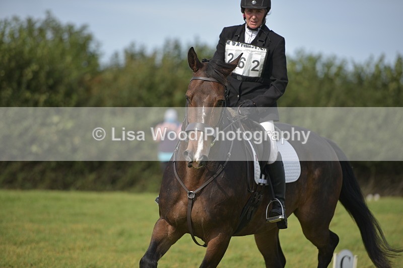 RAY_7914 - Class 2B: Trekenning Open: Dressage