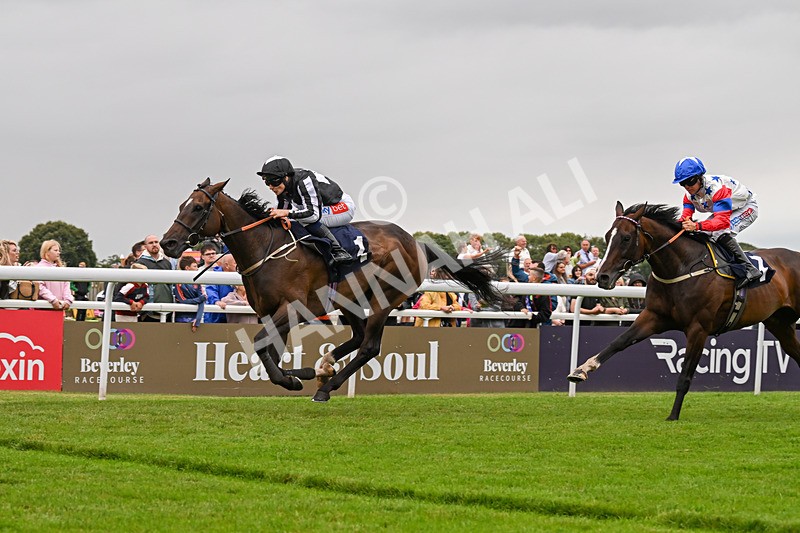 150824-Race 5-Pons Aelius-8321 - Race 5