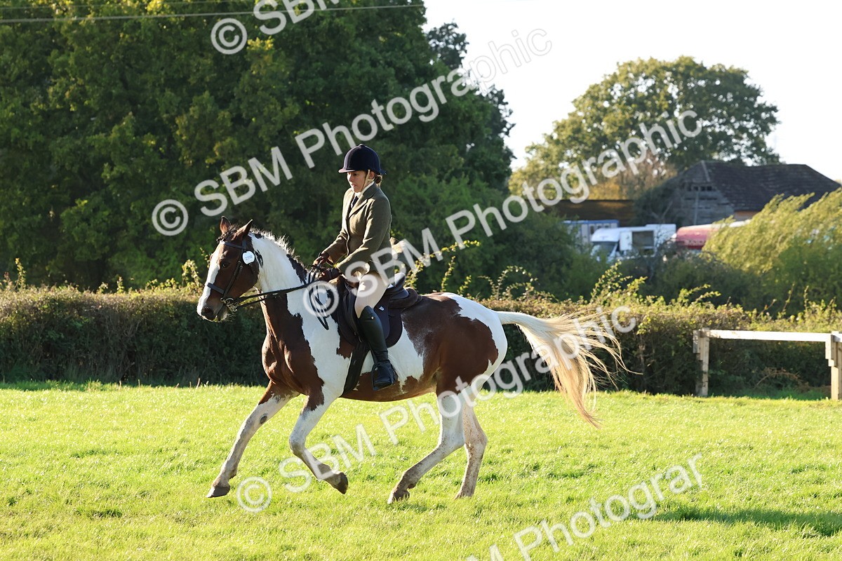 SBM_53020 - S29 - Mature Veteran Ridden