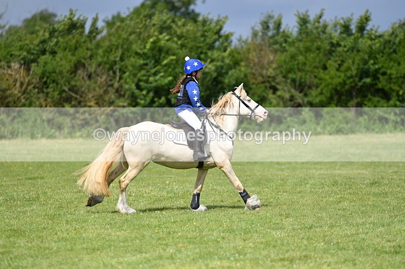 WJ5_2699 - Class 2 40cm