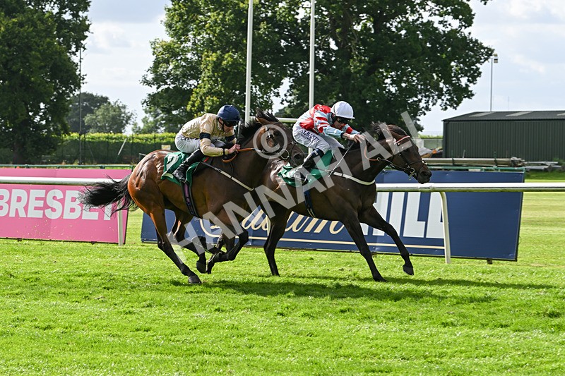 030824-Race 6-Night Breeze-1960 - Race 6