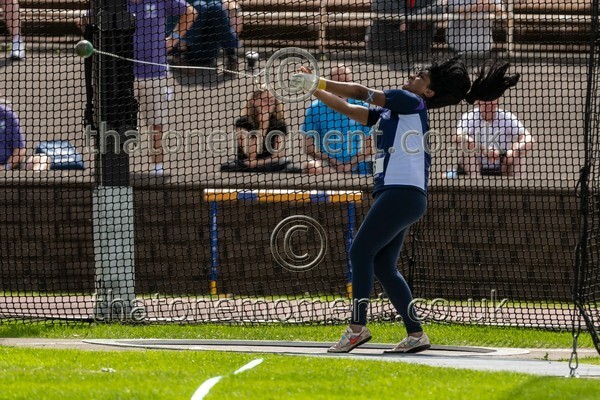 SIAB23-913035 - Field Female Set One