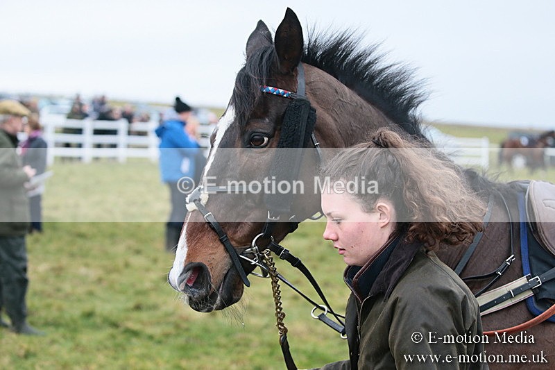 PtP 170219 -29 - Combined Services Point-To-Point Larkhill 17/02/19