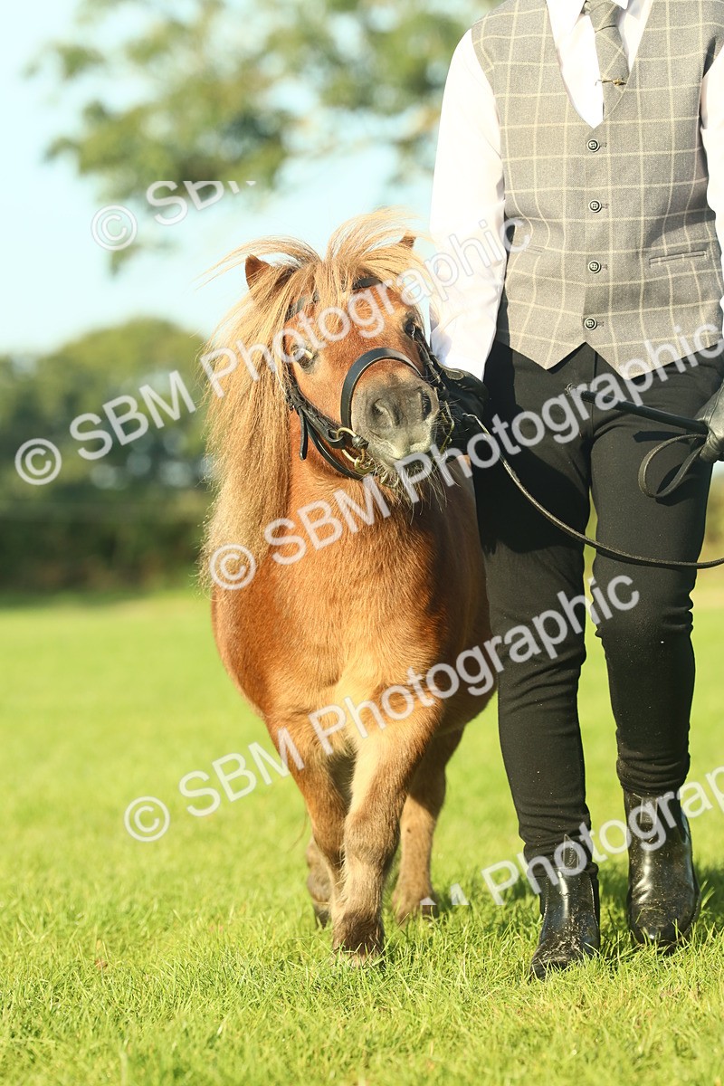 SBM_58441 - S37 - Starters In Hand Showing