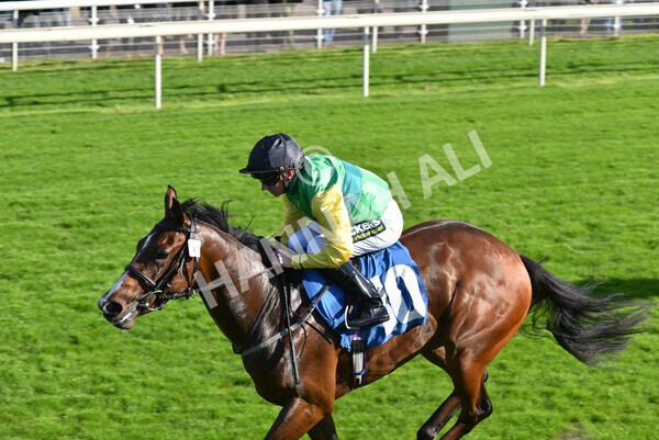 yr08102021r2-22 - Race 2 2.40pm Racing to School EBF Novice Stakes