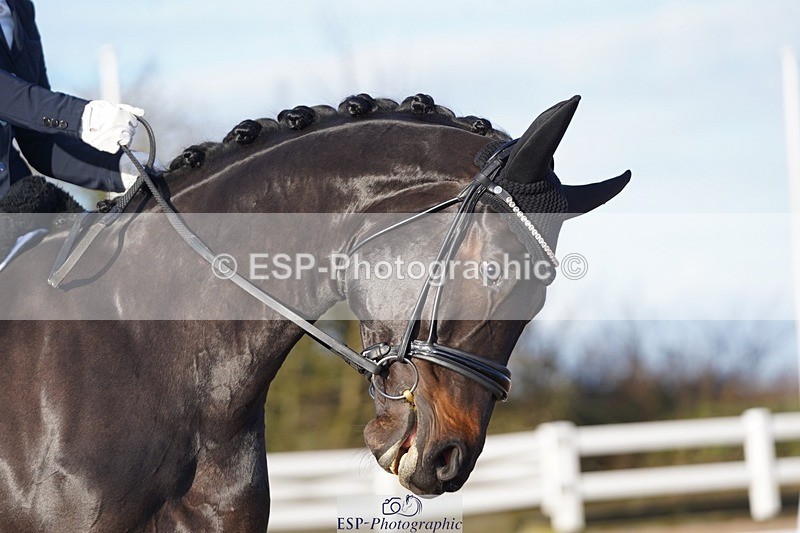 241214-115016-00369 - 159-Tamara.Egglestone-OLINDE