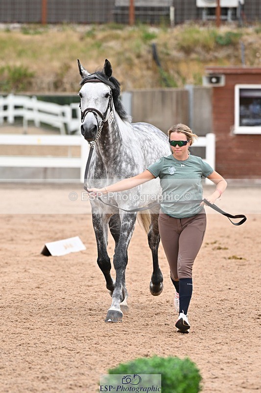 250716-143640-01242 - Trot Up 2.30 to 3.30