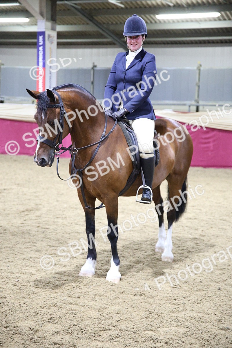 5K7A1614 - Class R Working Veteran Champ