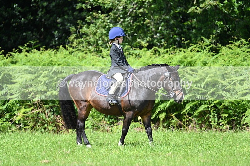 WJ7_1219 - Class 11 Condition & Turnout