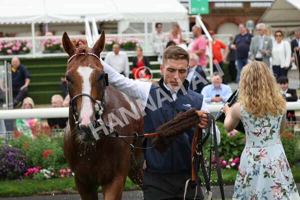 yr04092022r5-73 - Race 5 4.05pm Little Green Rascals Children's Nurseries Stakes