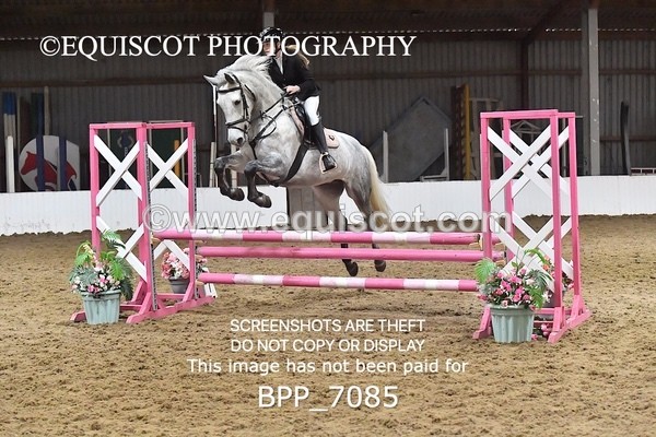 BPP_7085 - CLASS 2 Club/ Unaffiliated 80cms Open