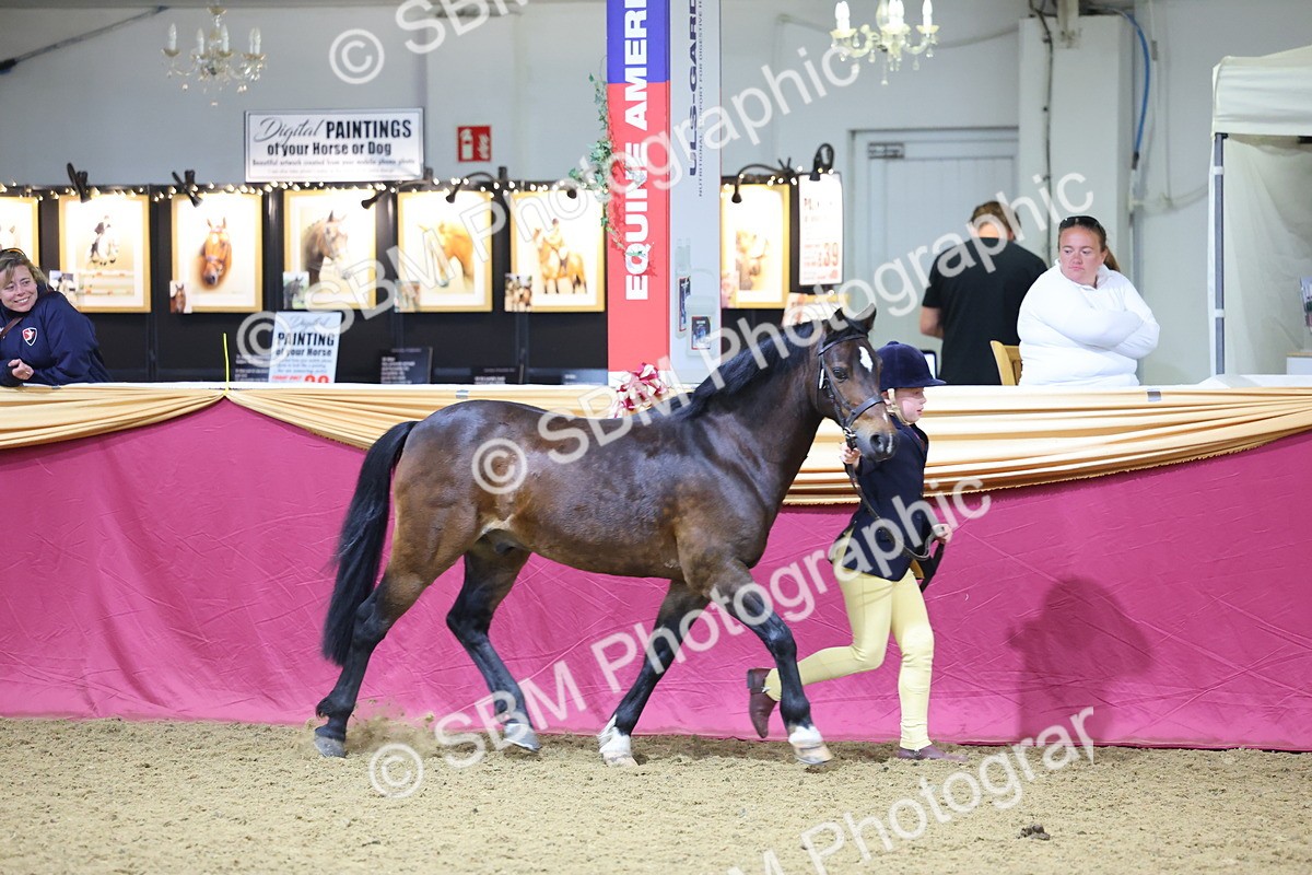 SBM_18576 - Class B Junior Champ 11-16 years