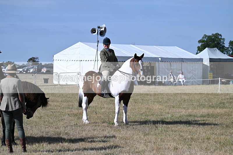 WJ7_2887 - Class 8 Ridden Tack & Turnout