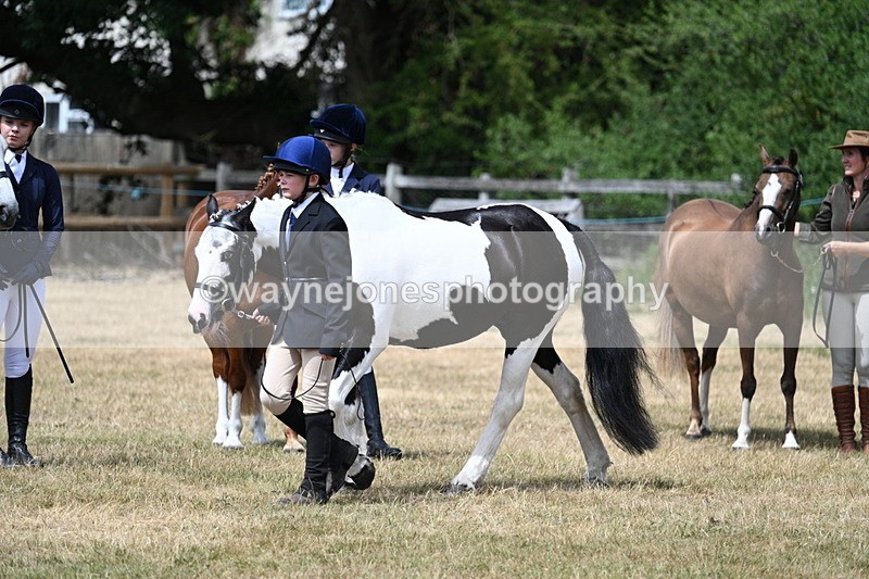 WJ7_1652 - Class 4 Prettiest Mare up to 14.2hh in hand