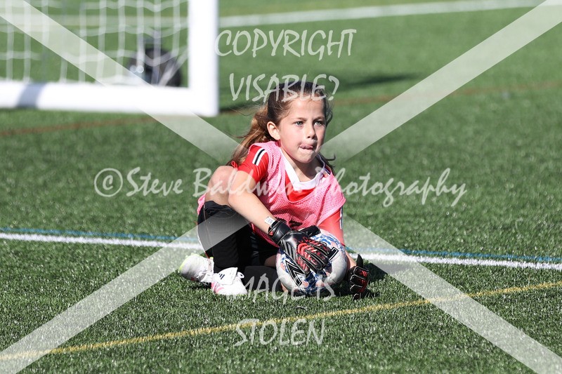 1DX34076 - Sat 13th U7 & U8 Girls