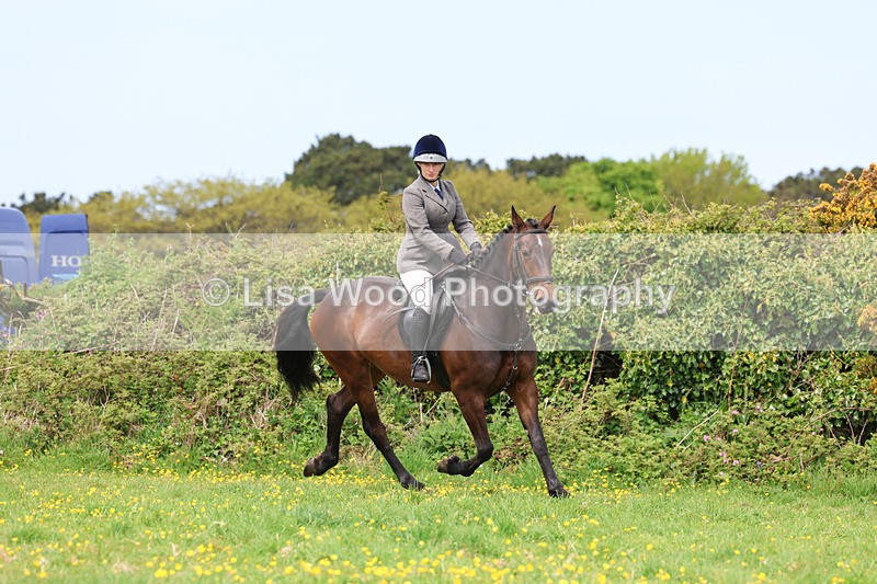 3E7A1228 - Class 7: Ridden Hunter Type