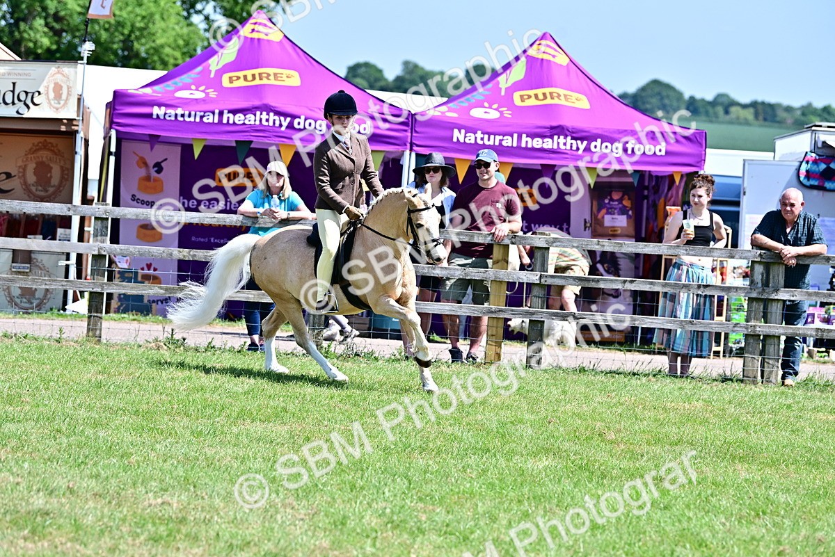 SBM_15337 - Class 95-97 - BSPS LHS Performance Ponies
