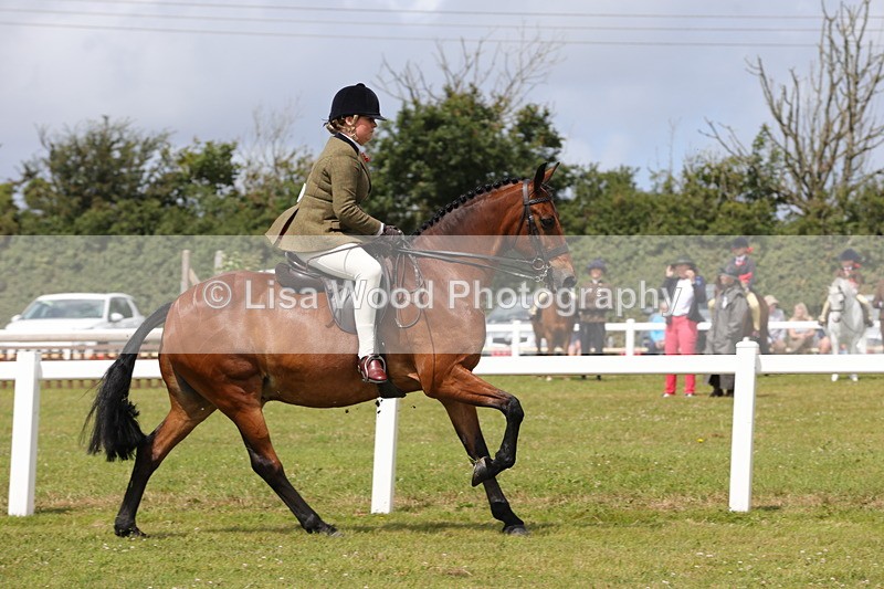 1X9A4101 - Class 32: Show Hunter Pony 153cm and under