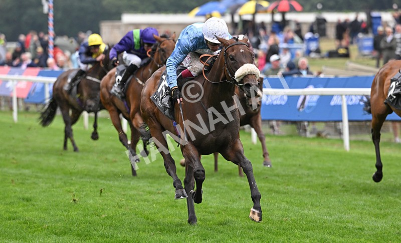 200826-195 Machadadorp - Race 7 17.20pm British EBF Fillies' Handicap