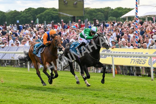 310525-Race 2-Tadej-8948 - Race 2 2.05pm Irish Thoroughbred Marketing EBF Restricted Novice Stakes