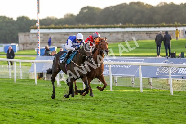 131023-Race 7-Thunder Roar-9966 - Race 7 5.35pm Visit Irish Bloodstock Sales With ITM Apprentice Handicap