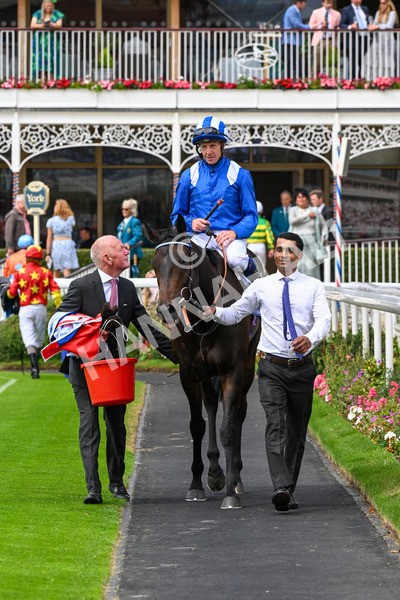 260725-Race 2-Elmonjed-0350 - Race 2 2.00pm Sky Bet Dash Handicap