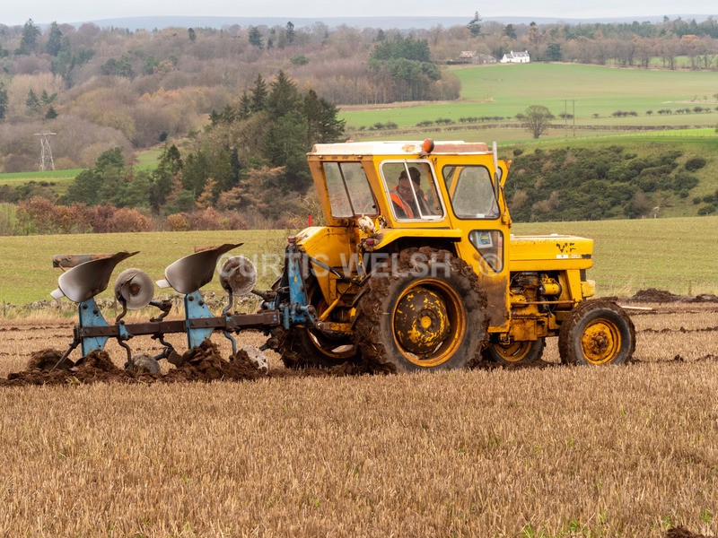 PB260010 - Lauderdale Ploughing Society - Ploughing match 26-11-22