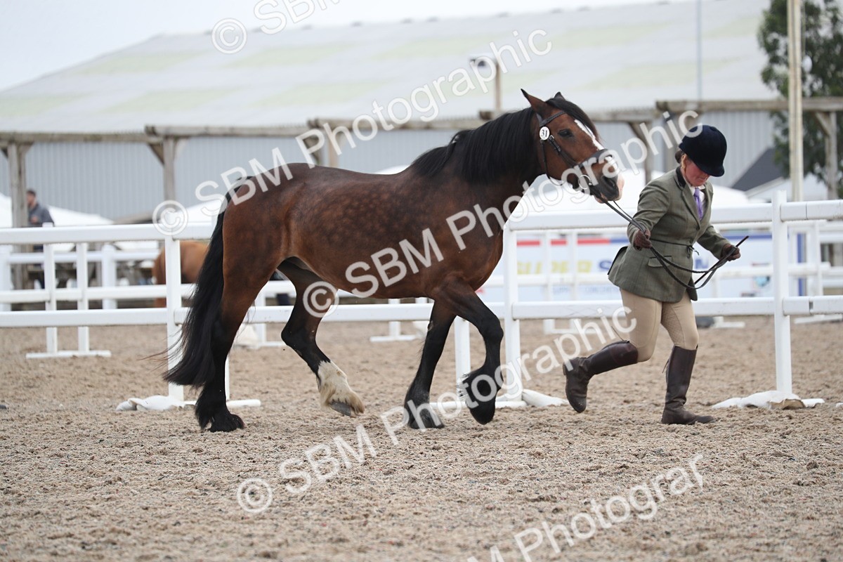SBM_22531 - Class 604 - 2025 Area - IH Diamond
