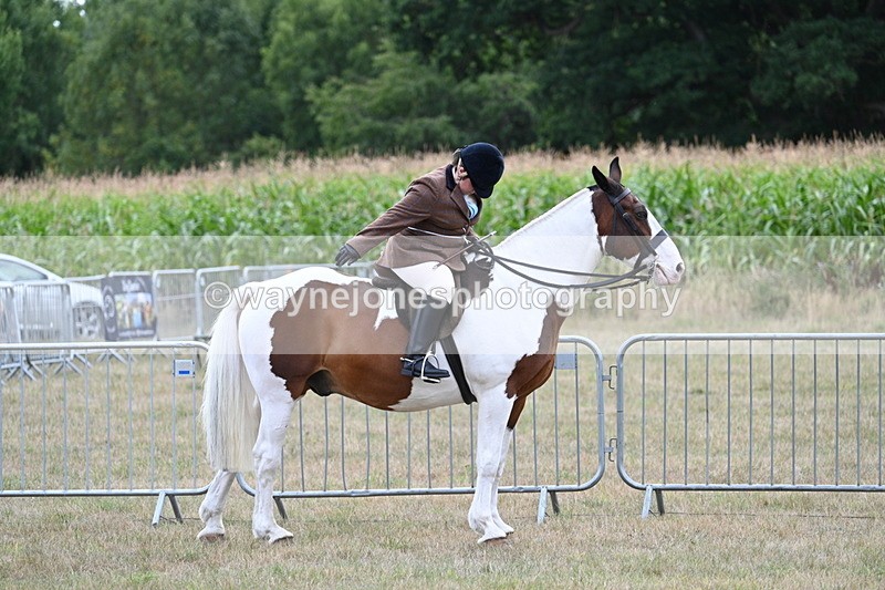 WJ7_5327 - Class 12 Ridden Cob