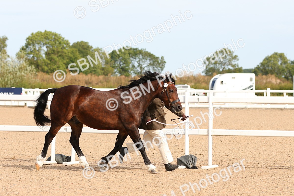 SBM_17995 - Class 707 - IH Groom - Helpers Glass