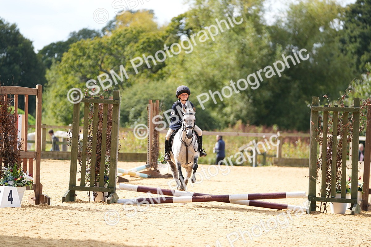 SBM_65657 - J2 - Mini Tour Junior Pony 30cm Championship