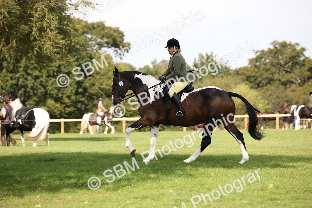 SBM_70091 - S65 - Piebald & Skewbald Horse Ridden