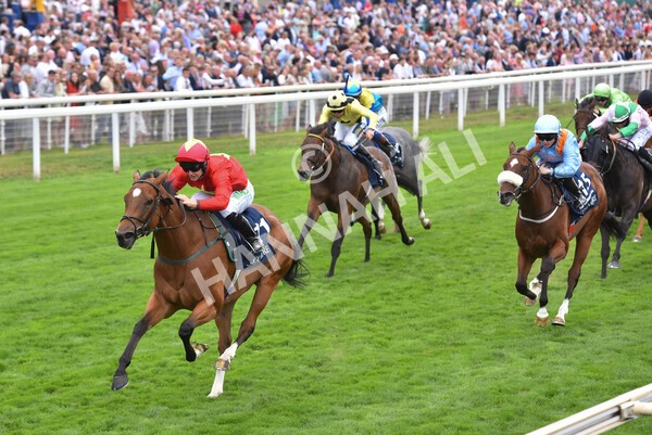 yr19082022r4-82 - Race 4 3.35pm Coolmore Wootton Bassett Nunthorpe Stakes (British Champion Series Race)