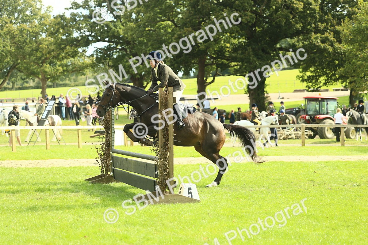 SBM_48021 - S32 - Novice & Newcomers Working Hunter