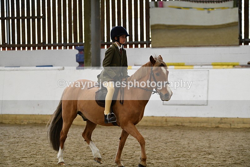 WJ5_6233 - Class 9 Ridden Veteran