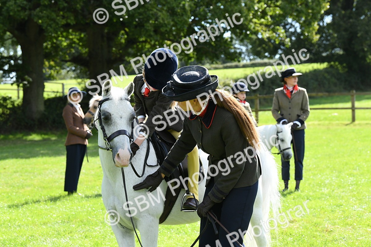 SBM_42626 - S20 - Lead Rein Mountain & Moorland Pony