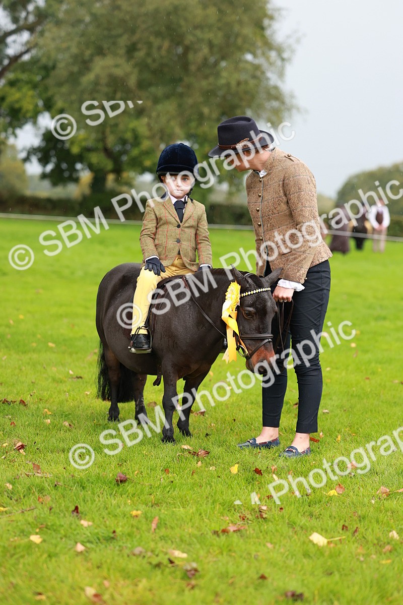 SBM_33781 - S9 - Lead Rein Equitation