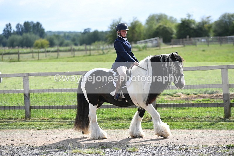 WJ5_7939 - Time 16:56 to 17:14