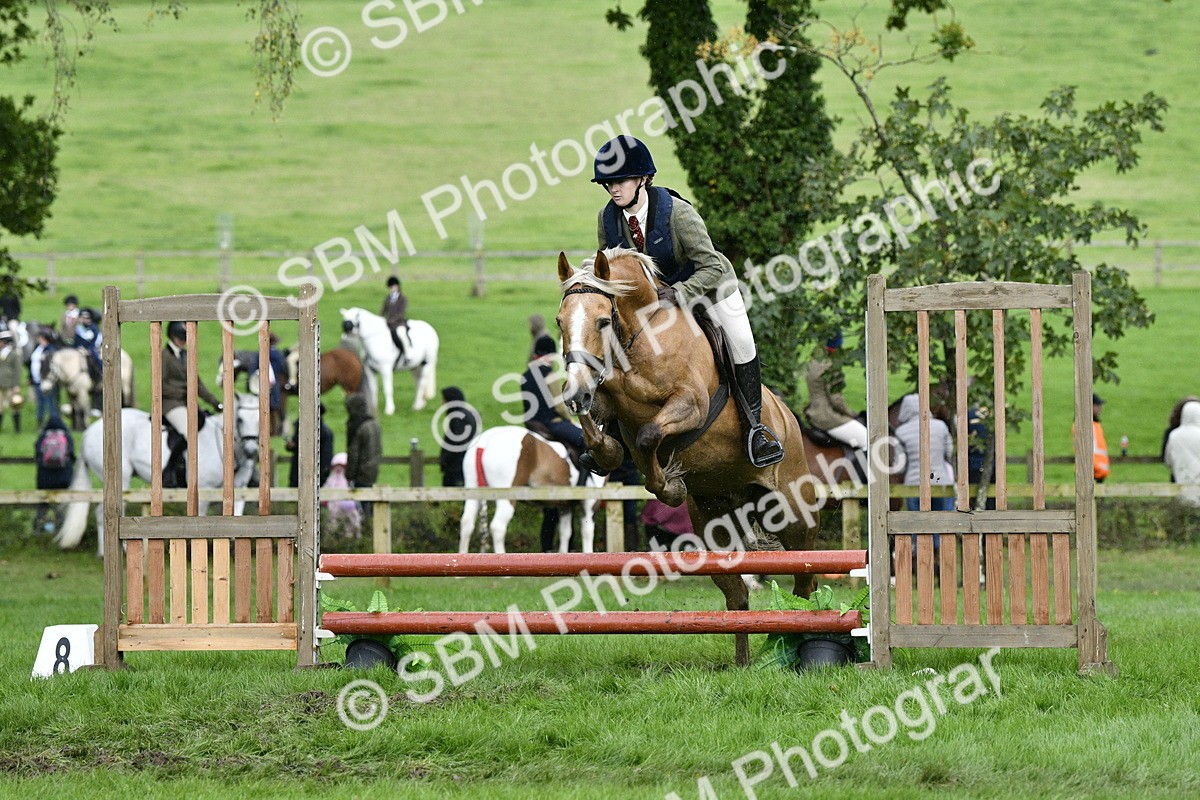 SBM_42242 - S32 - Mountain & Moorland Working Hunter Pony