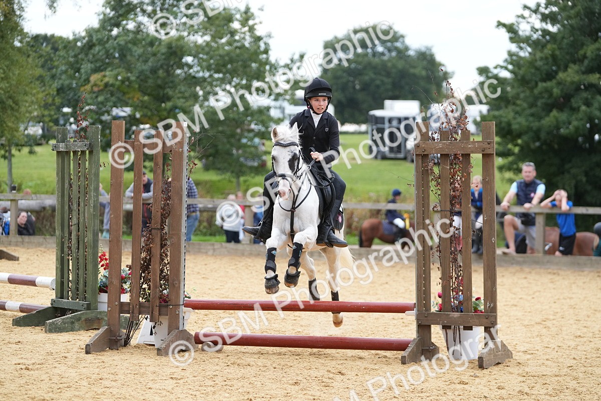 SBM_74803 - J4 - Mini Tour Junior Pony 45cm Championship