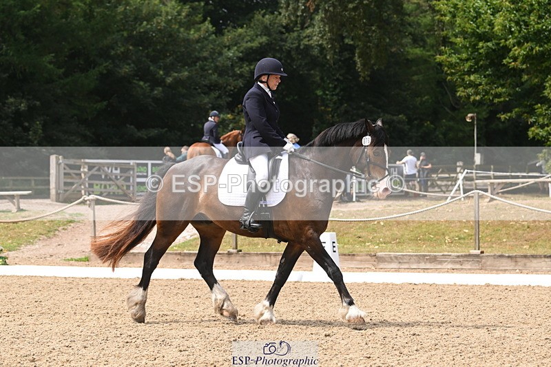 250720A-115639-10076 - 079-Amanda.Williams-Llanarth.Westminster