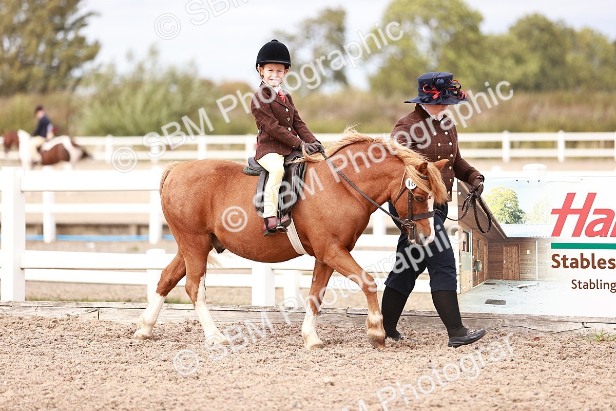 SBM_18294 - Class 417 - Handsome Gelding (IH or Ridden - JNR)