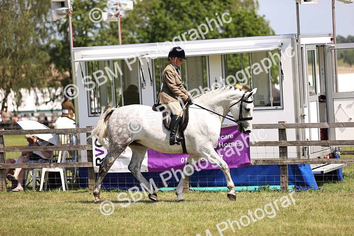 SBM_15037 - Class 79-80 - LIHS BSHA Rising Star Ridden Hunter