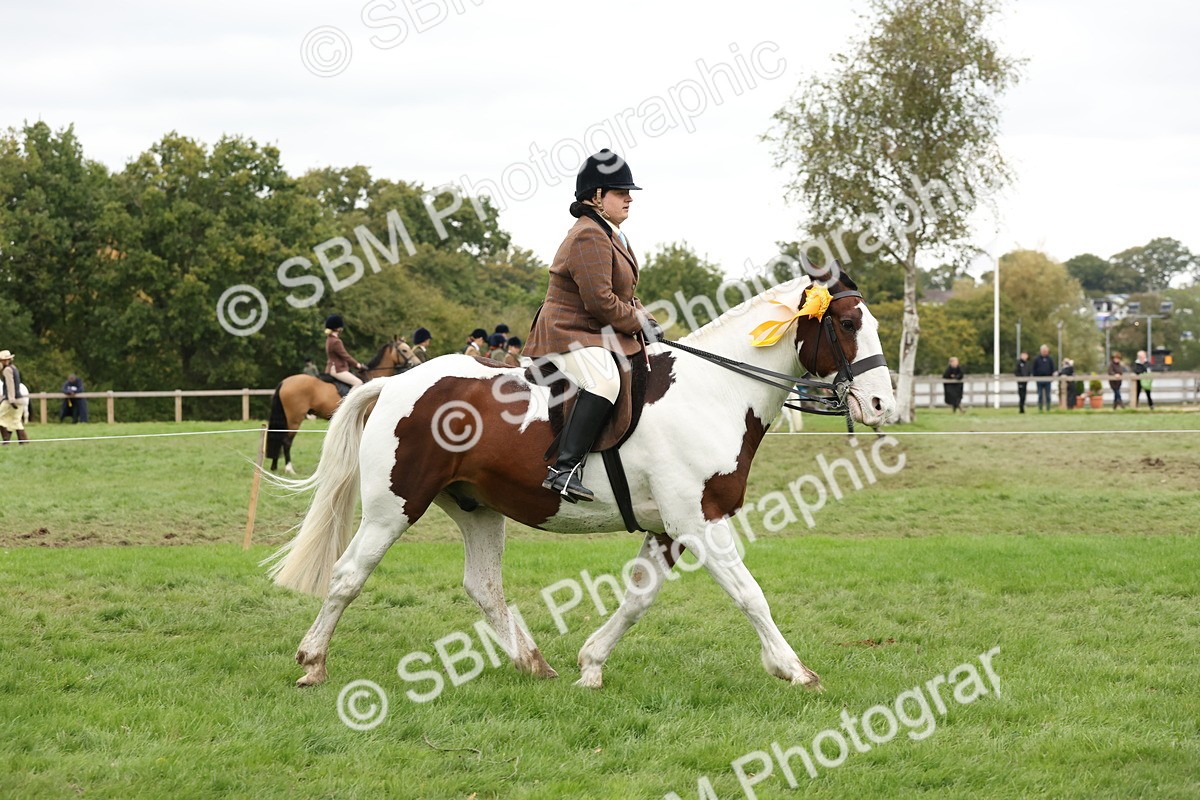 SBM_67343 - S67 - Piebald & Skewbald Horse Ridden